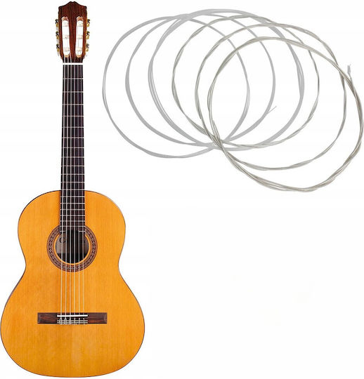 Set 6 Corzi Classical Guitar Zola Dimensiuni 0.28 0.29 0.32 0.35 0.40 0.43 3 Înfășurare Placată Cu Argint 3 Fără Înfășurare Transparentă Lungime 105 Cm Culoare Argintie