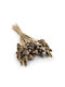 Dried Phalaris Canary Canary Grass Golden
