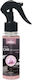 Prady Dezodorant Spray Auto Yani 100ml