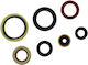 Engine Seal Kit Gas Gas Ktm Husqvarna 250/300 2017-2023