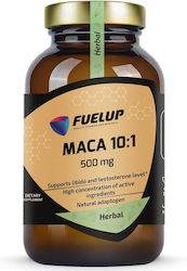 Fuel Up Maca 10:1 500mg 100 φυτικές κάψουλες Fuel Up Maca 10:1 500mg 100 φυτικές κάψουλες