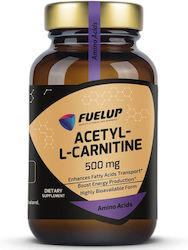 Fuel Up Acetyl L-Carnitine Fuel Up Acetyl L-Carnitine