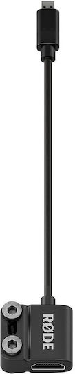 Rode Μετατροπέας HDMI male σε micro HDMI female