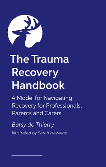 Trauma Recovery Handbook - Jessica Kingsley Publishers - Paperback / Softback