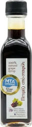 Filia Gi Traubensirup Flüssig Bio-Produkt 100ml P2-100 Filia Gi Traubensirup Flüssig Bio-Produkt 100ml P2-100