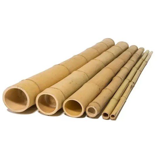 Showood Καλάμι για Περίφραξη Κήπου από Μπαμπού 12x12x300εκ.