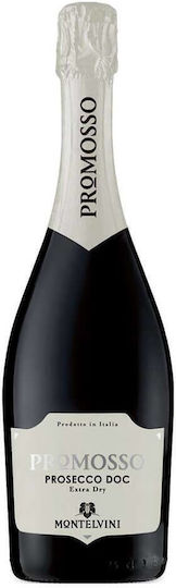 Montelvini Wine Doc Prosecco White Dry Sparkling 750ml