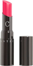 Chantecaille Chantecaille Lippenstift Wild Rose 2gr Chantecaille Chantecaille Lippenstift Wild Rose 2gr
