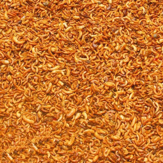 Γαρίδα Κοσκινισμένη Τροφή για Χελώνα 560720-1 60gr