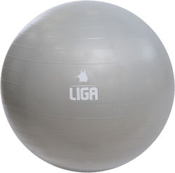 Liga Sport Minge Pilates de Culoare Gri