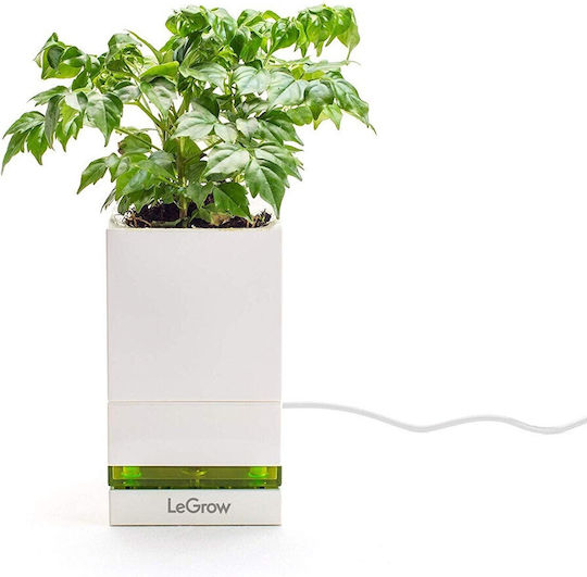 DesignNest Flower Pot DesignNest Flower Pot