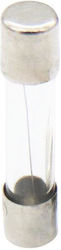 S1022 Owi-sxg Sicherung Zylindrisch Glas Slow-Blow 6x30mm 10A 10Stücke