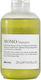 Davines Momo Hydration Shampoo 250ml