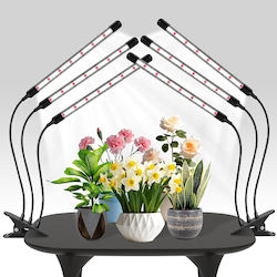 Bec Grow Light 15W