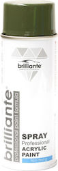 Brilliante Σπρέι Βαφής Πράσινο 6003 400ml Brilliante Σπρέι Βαφής Πράσινο 6003 400ml