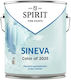 Spirit Пластмасова Боя Синя 2.5л