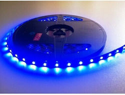 Bandă LED Impermeabilă 24V Lumină Albastră Tip SMD3528 cu Sursă de Alimentare Bandă LED Impermeabilă 24V Lumină Albastră Tip SMD3528 cu Sursă de Alimentare