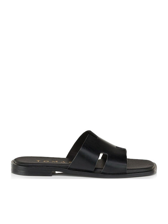 Tomas Shoes