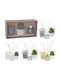 Set Cadou Parfum Lumânare Difuzor și Plantă Decorativă Lemn de Santal