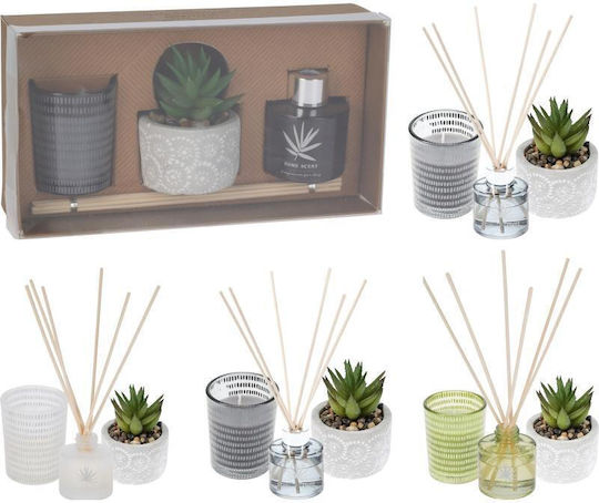 Set Cadou Parfum Lumânare Difuzor și Plantă Decorativă Lemn de Santal