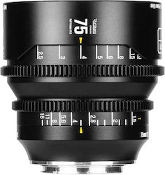 7artisans Dream Cine 75mm T1.5 Z Vollformat für Nikon Z Berg