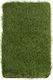 Synthetic Lawn in Roll Sole Grass 2x5m and Height of 38mm