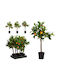 Künstlicher Obstbaum 70cm Apfelbaum