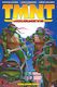 Tmnt: Journeys, Vol. 1 PB