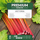 Red White Beet Seeds 5gr