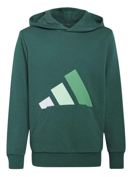 Kinder-Sweatshirt mit Kapuze und Taschen Grün