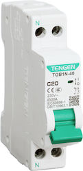 Automatic Circuit Breaker Mcb 1p+n Curve C 20a 4.5ka 10mm² Max Tengen 09-00376