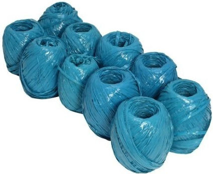 Set 10 Raffia Threads 200g
