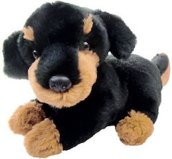 Inware Plush Toy Beagle Dog 23 cm