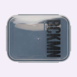 Beckmann Cutie De Prânz Pentru Copii Din Plastic 1.7 Litri Transparentă Beckmann Cutie De Prânz Pentru Copii Din Plastic 1.7 Litri Transparentă