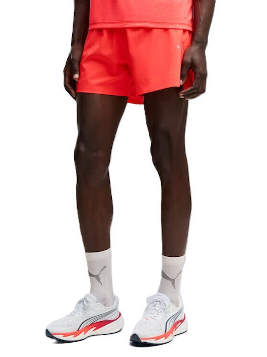 PUMA Sport Herren Shorts Ultra Rot