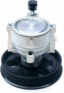 Power Steering Pump Megane Scenic 1.4 1.6 7700419117 7700419117