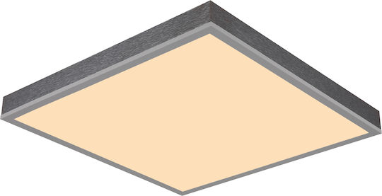 Globo Lighting LED Панел 24W Globo Lighting LED Панел 24W