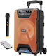 Kimiso Karaoke Speaker with Wireless Microphone...