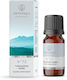 Aromatique Turquoise Sky Fragrance Oil 12ml