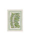 Tessitura Toscana Telerie Tamarindo Tea Towel In Green Colour