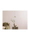 Globo Lighting Black LED Pendant Ceiling Light with Warm White Light