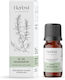 Aromatique Αιθέριο Έλαιο Δενδρολίβανο 10ml