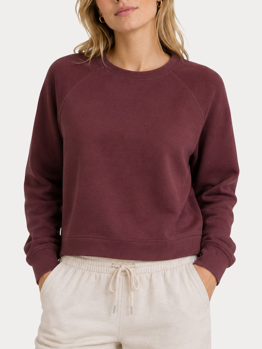 Only Damen Sweatshirt Decadent Schokolade