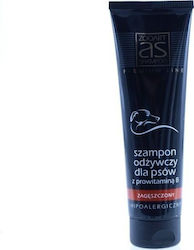 Zooart Premium Hundeshampoos & Conditioner Vitamin B 300ml