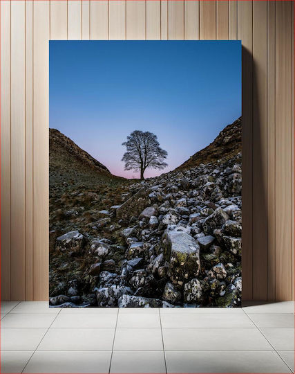 Πίνακας Lonely Tree In Rocky Valley Lonely Tree In Rocky Valley 100x150