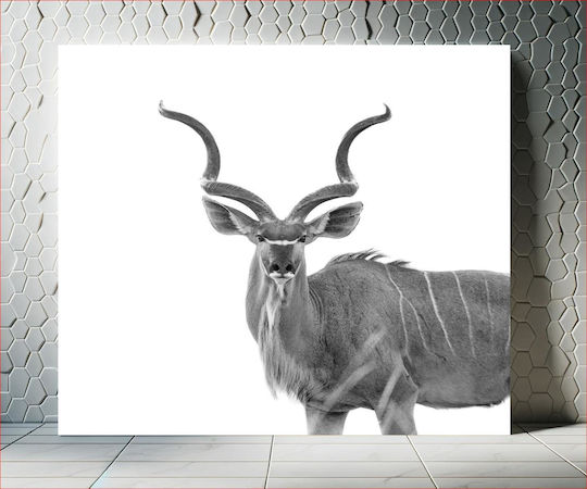 Painting Majestic Kudu In Black White Majestic Kudu Black And White 110x110