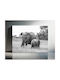 Painting Elephants In Black White 150x100