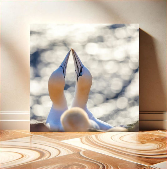 Gemälde Intimate Moment Birds Intimate Moment Birds 110x110