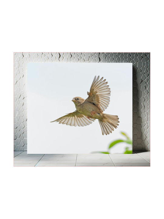 Gemälde Bird In Flight Πουλί Πτήση 120x120