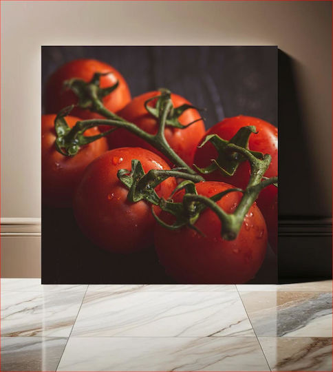 Painting Fresh Tomatoes On Vine Fresh Tomatoes Vine 120x120